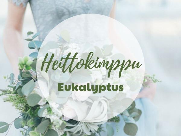 Heittokimppu - Eukalyptus